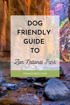 the narrows with text that reads dog friendly guide to lion national park