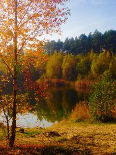 a lake surrounded by trees in the fall