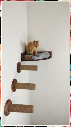 Transform your feline's playtime with our curated selection of cat tree designs! Discover the best cat tree options that provide endless fun and comfort for your furry friends. From multi-level playgrounds to cozy hideaways, these stylish and functional cat trees will keep your cats happy and engaged. Explore unique designs that blend seamlessly with your home decor while giving your playful felines the perfect spot to climb, scratch, and relax. Katt Diy, Cat Stand, Katt Grejer, Pfp Cat, Kat Diy, Cat Standing, Pfp Black, Cat Couch, Aesthetic Funny