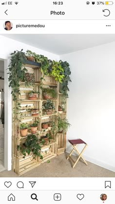 a wooden shelf filled with potted plants on top of a floor next to a chair