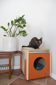 a cat sitting on top of an orange and white box next to a potted plant