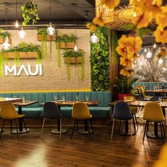 the interior of a restaurant with tables, chairs and plants hanging from the ceiling above them