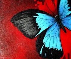 a blue and black butterfly on a red background