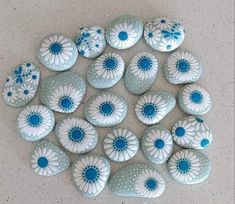 several blue and white flowers are arranged in a circle on the ground, surrounded by smaller rocks