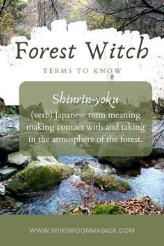 the forest with text that reads, forest witch term to know shann - yoka verb japanese term meaning making contact with and taking in the atmosphere of the forest