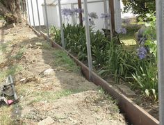 the garden is growing and ready to be used for plants in the yard or on the side of the house