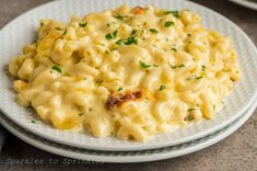 macaroni and cheese on a white plate