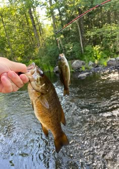 fishing, outdoor aesthetic Fishing Salt Water, Fishing Pictures Instagram, Summer Fishing Aesthetic, Fly Fishing Aesthetic, Ryan Aesthetic, Fishing Aesthetic, Fishing In Alaska, Exit Interview, Ranch Water