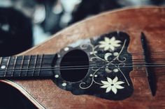 a close up of an acoustic guitar with white flowers on the fret and strings