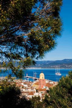 boats are docked in the water next to some trees and buildings with mountains in the background