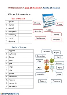 a worksheet with words and pictures to describe the different types of things that are in