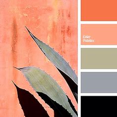 the color scheme is peach, grey and black with some green leaves on top of it