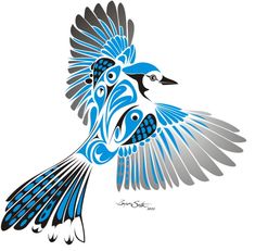 a blue and black bird with wings spread