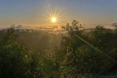 the sun is setting over some trees and hills in the distance, with mist coming from the valley below