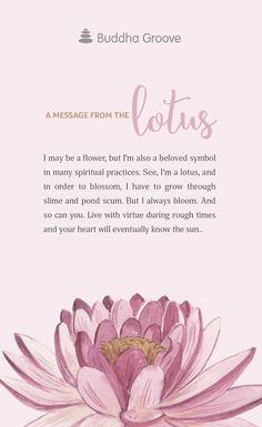 the back cover of buddha grove's lotus prayer book, with an illustration of a pink flower