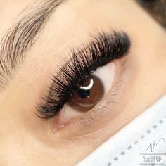 Volume Set | Lash Extensions | Wispy Set | 10-15mm 0.05 D Curl | Hybrid | Lash Artist | Lash Tech | Cat Eye | Doll Eye Volume Set Lash Extensions, Lash Pictures, Lash Extensions Wispy, Wispy Set, Black Lashes, Lash Tech, Wispy Lashes, Beautiful Lashes, Summer Inspo