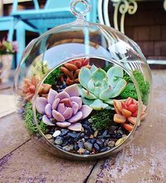 a glass bowl filled with succulents and rocks on top of a wooden table