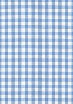 a blue and white gingham checkered fabric