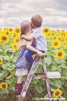 two children are sitting on a ladder in a field of sunflowers and one is hugging the other