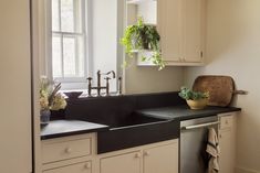 a kitchen sink sitting under a window next to a dishwasher and a potted plant