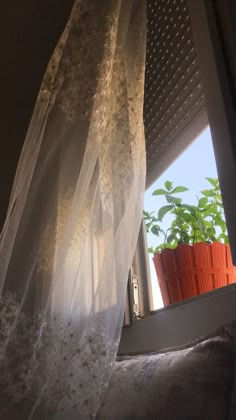 the curtains are pulled back to let in light on the window sill and plant