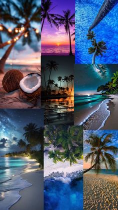 a collage of different pictures with palm trees and the ocean at sunset or sunrise