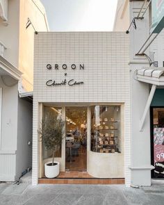 a store front with an olive tree in the window