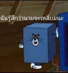 an animated image of a cat standing next to a blue box with the words in thai on it