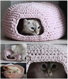 there is a cat that is laying in a crocheted bed and looking at the camera