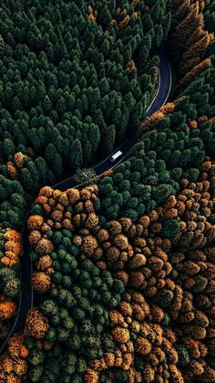 an aerial view of a winding road in the middle of a forest filled with trees