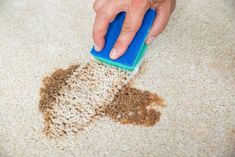 a person is cleaning the carpet with a blue sponge and brown dirt on top of it