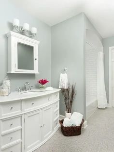 a white bathroom with gray walls and carpeted flooring is pictured in this image