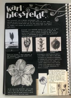 an open book with pictures of flowers and plants on the pages, in black and white