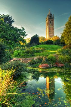 there is a tall tower in the background with trees around it and water on the ground