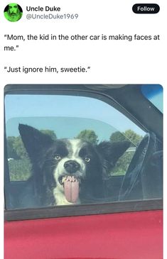 a dog sticking his head out the window of a car with its tongue hanging out