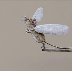 a drawing of a mouse with wings on it's back legs, sitting on a piece of wood