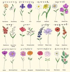 the different types of flowers are shown in this drawing style, and each flower has its own name on it