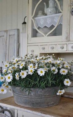 white daisies in a pot sitting on a table next to an old china cabinet