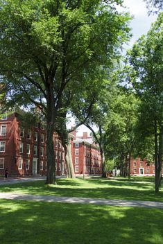 the trees are in front of the building on the grass