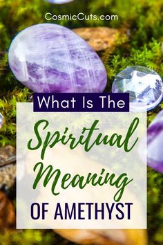 rocks and moss with the words what is the spiritual meaning of amethyst?