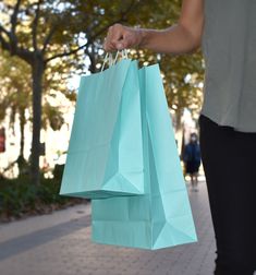 a person holding shopping bags in their hand