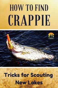 the cover of how to find crappie tricks for scouting new lakes and other rivers