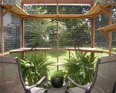 two chairs sitting on top of a patio next to a potted plant in front of a window