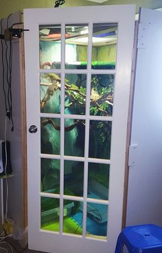 an open door to a room with plants and other things in the area behind it