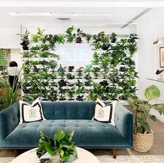 a living room with green plants on the wall and couches in front of it