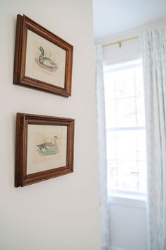 two framed pictures hang on the wall next to a window