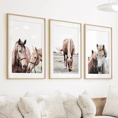 three framed horses are hanging on the wall next to a couch in a living room