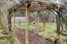 a wooden structure with moss growing on it in the middle of a garden area surrounded by trees