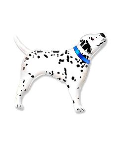 a dalmatian dog with a blue collar on it's neck is shown