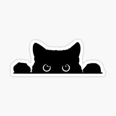 a black cat with big eyes peeking out from behind the edge of a wall sticker